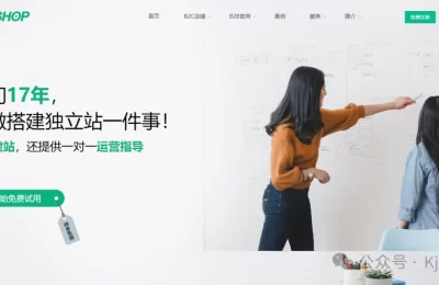 Ueeshop – 跨境电商的自建站领航者缩略图